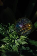 Sphere