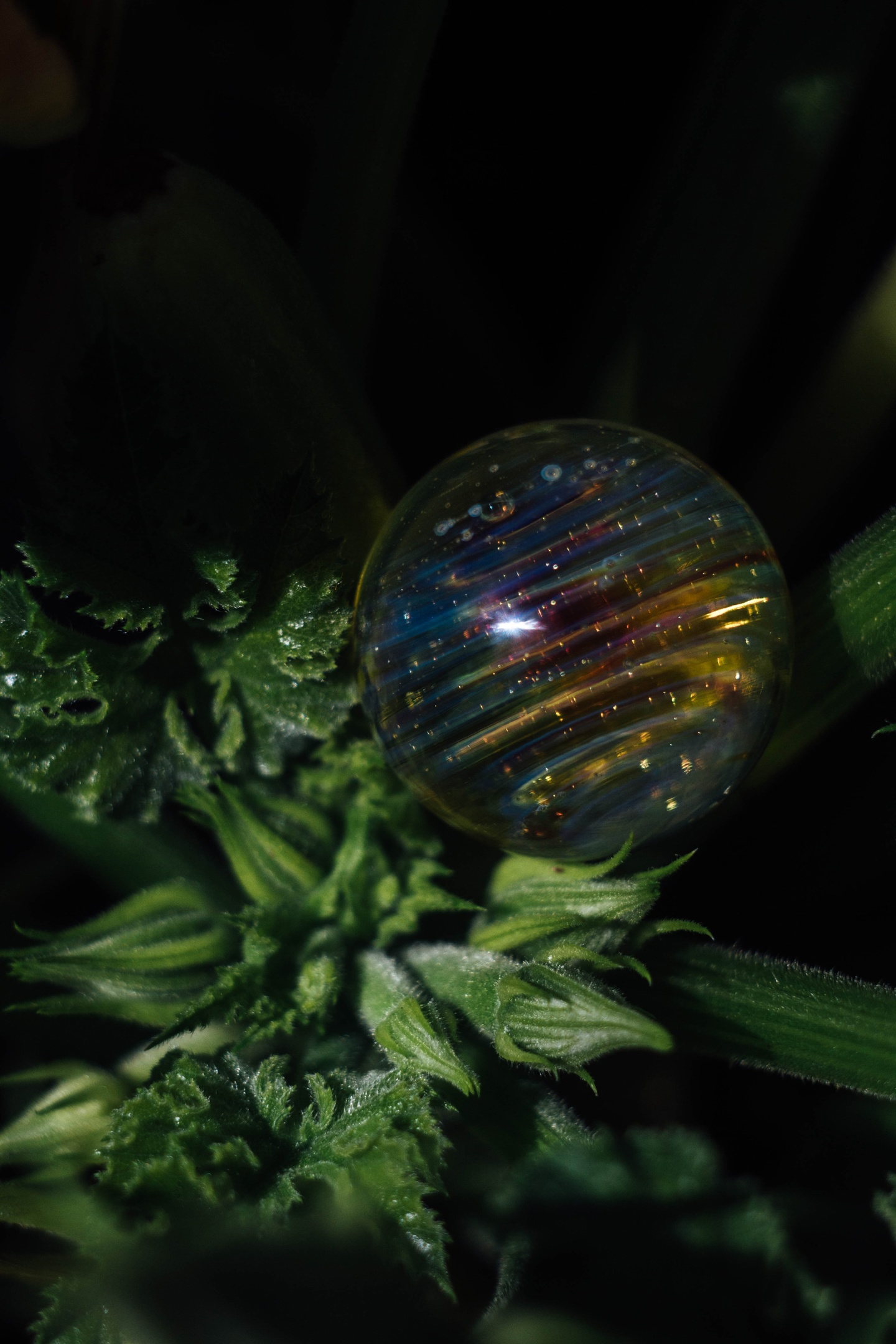 Sphere3.3 Sphere — изображение 1