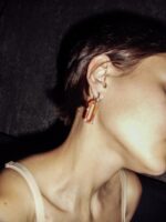 tansilvercreeck monolink lensed — изображение 3